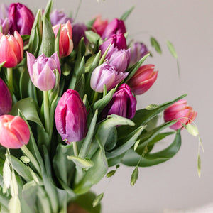 Tulip Bouquet